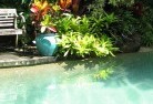 Emmavilleswimming-pool-landscaping-3.jpg; ?>